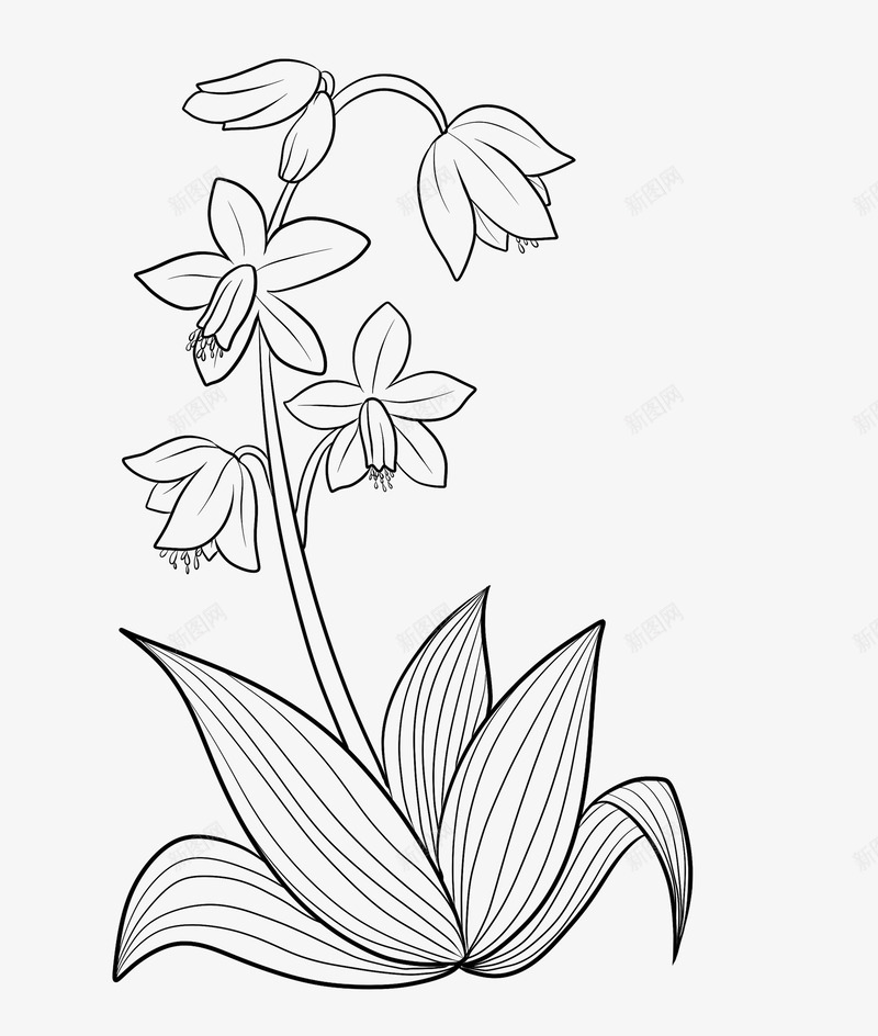 白芨png免抠素材_88icon https://88icon.com 白芨