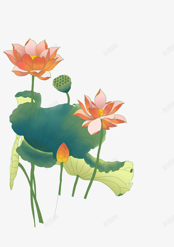 荷花手绘中国风夏天psd免抠素材_88icon https://88icon.com 荷花 手绘 中国风 夏天