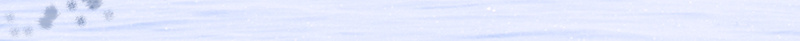 冬至卡通情侣背景图jpg设计背景_88icon https://88icon.com 冬至 背景图 情侣 雪人 树枝装饰