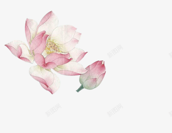 水货花鸟鱼自抠古风签吧百度贴吧png免抠素材_88icon https://88icon.com 水货 花鸟 鱼自 古风 签吧 百度贴吧