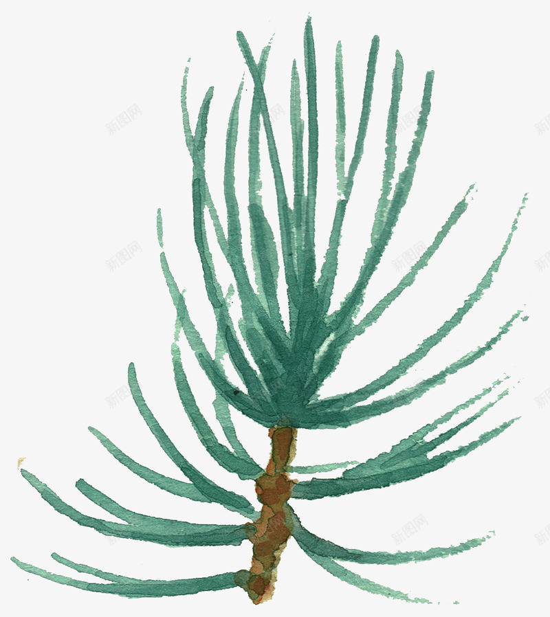 小清新手绘彩绘文艺植物春季花鸟类燕子水彩设计png免抠素材_88icon https://88icon.com 清新 手绘 彩绘 文艺 植物 春季 季花 鸟类 燕子 水彩 设计