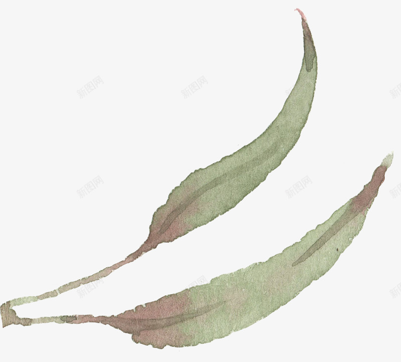 小清新手绘彩绘文艺植物春季花鸟类燕子水彩设计png免抠素材_88icon https://88icon.com 清新 手绘 彩绘 文艺 植物 春季 季花 鸟类 燕子 水彩 设计