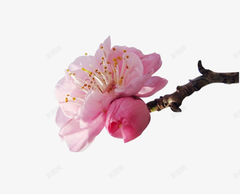 h5页面设计png免抠素材_88icon https://88icon.com 页面 设计