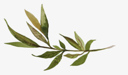 文艺水彩花卉动物植物平铺底纹婚礼请柬卡片设计png图片下载 文艺水彩花卉动物植物平铺底纹婚礼请柬卡片设计素材