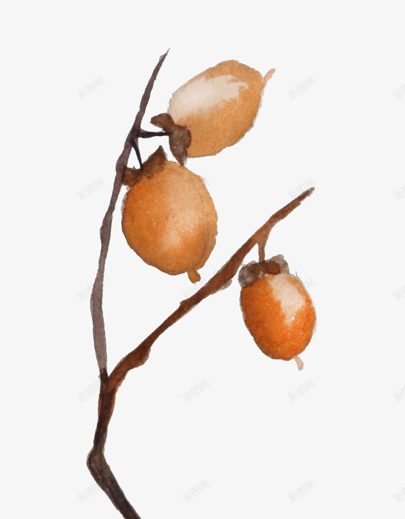 文艺水彩花卉动物植物平铺底纹婚礼请柬卡片设计png免抠素材_88icon https://88icon.com 文艺 水彩 花卉 动物 植物 平铺 底纹 婚礼 请柬 卡片 设计