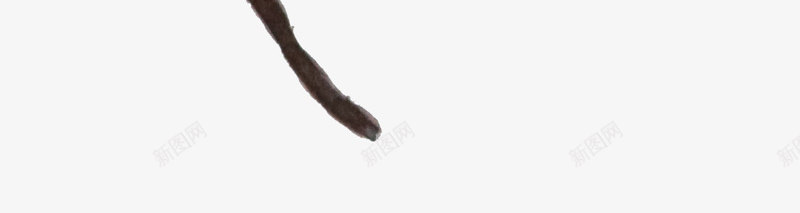 文艺水彩花卉动物植物平铺底纹婚礼请柬卡片设计png免抠素材_88icon https://88icon.com 文艺 水彩 花卉 动物 植物 平铺 底纹 婚礼 请柬 卡片 设计