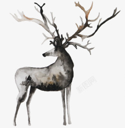 文艺水彩花卉动物植物平铺底纹婚礼请柬卡片设计png图片下载 文艺水彩花卉动物植物平铺底纹婚礼请柬卡片设计素材