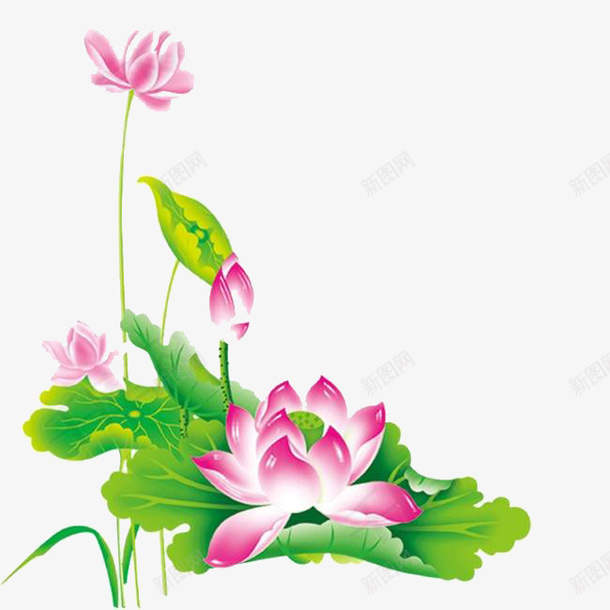 荷花莲花彩色png免抠素材_88icon https://88icon.com 莲 荷花 免抠 彩色
