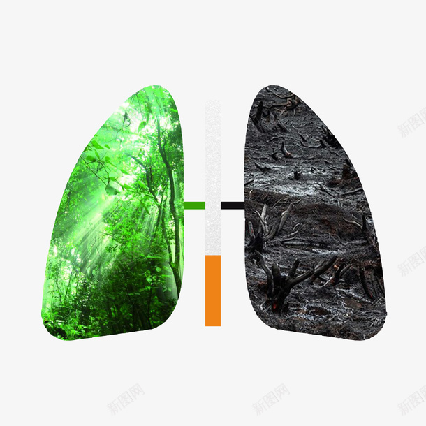 吸烟有害健康肺部png免抠素材_88icon https://88icon.com 健康 吸烟 吸烟后的肺部对比图 有害 肺部