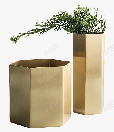 盆栽北欧植物免扣植物居家装饰绿植png免抠素材_88icon https://88icon.com 植物 盆栽 北欧 免扣 居家装饰 绿植