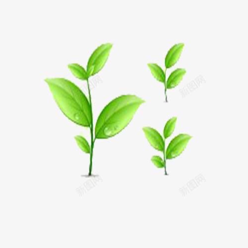 发芽嫩芽发芽种子发芽绿色发芽小草发芽嫩芽发芽发芽动png免抠素材_88icon https://88icon.com 发芽 嫩芽 小草 小草生长过程图 种子 绿色