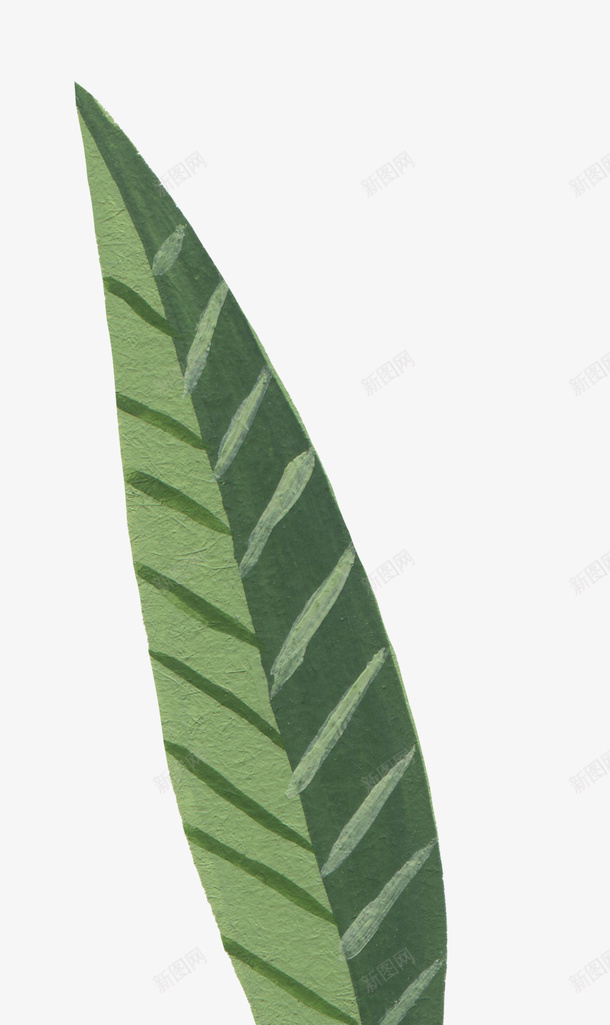 手绘叶子植物油画质感油画纹理png免抠素材_88icon https://88icon.com 手绘 颜料质感 油画 叶子 植物