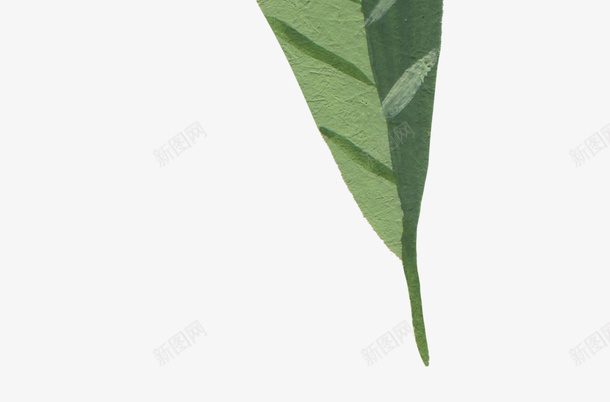 手绘叶子植物油画质感油画纹理png免抠素材_88icon https://88icon.com 手绘 颜料质感 油画 叶子 植物