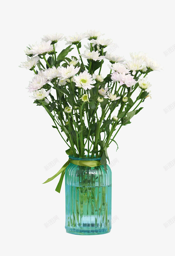 高清瓶装花草绿叶植物png免抠素材_88icon https://88icon.com 花草 花 草 绿色 植物 瓶子 白色的花