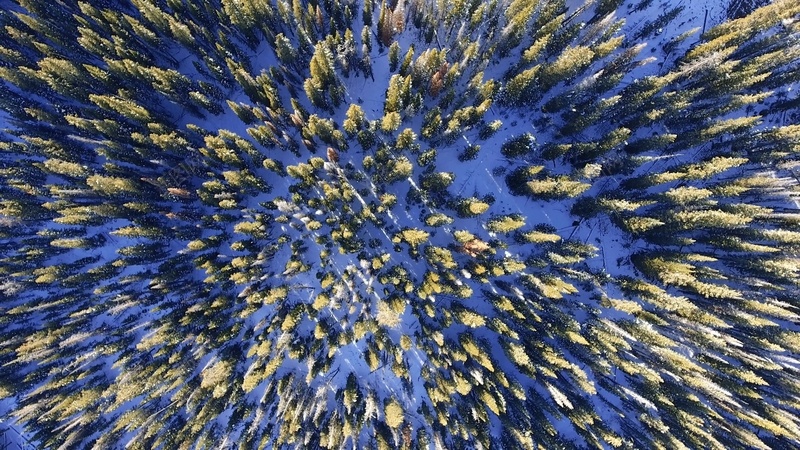 俯瞰丛林背景4K超高清背景丛林背景树林jpg设计背景_88icon https://88icon.com 俯瞰丛林背景 4K超高清背景 丛林背景 树林背景