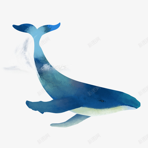 小眼睛的鲸鱼png免抠素材_88icon https://88icon.com 鲸鱼 彩色 漂亮的鲸鱼 png