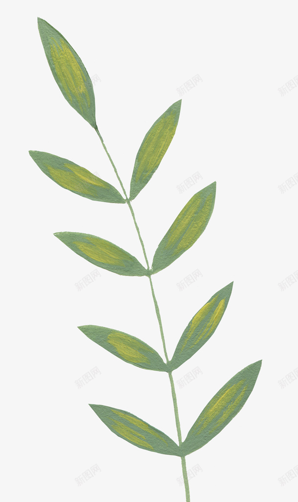手绘叶子植物油画质感油画png免抠素材_88icon https://88icon.com 手绘 颜料质感 油画 叶子 植物