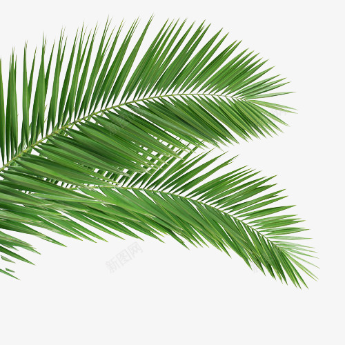 d1c0dad54fa29ff8cf09eeabfac1c DeYUtHfw658PNGPNS素材png免抠素材_88icon https://88icon.com 素材