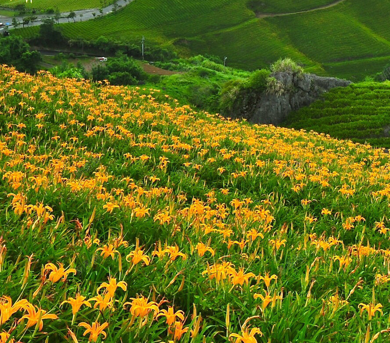 美景素材可用背景jpg设计背景_88icon https://88icon.com 美景 素材 可用 背景