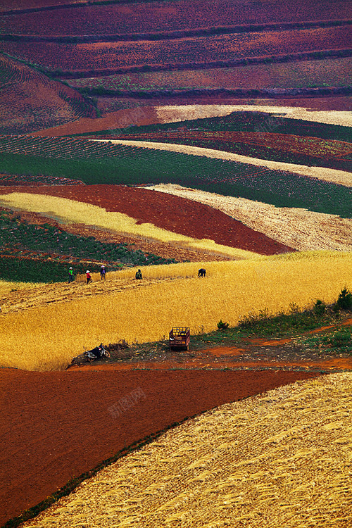 醉摄东北黑土地素材可用背景jpg设计背景_88icon https://88icon.com 醉摄 东北 黑土地 素材 可用 背景