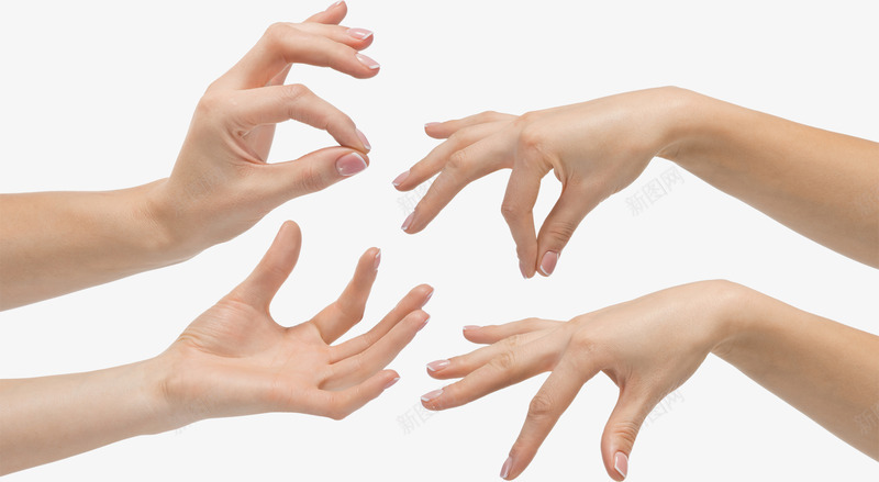 c5f0049b77de6ffa8b4ac6a手png免抠素材_88icon https://88icon.com