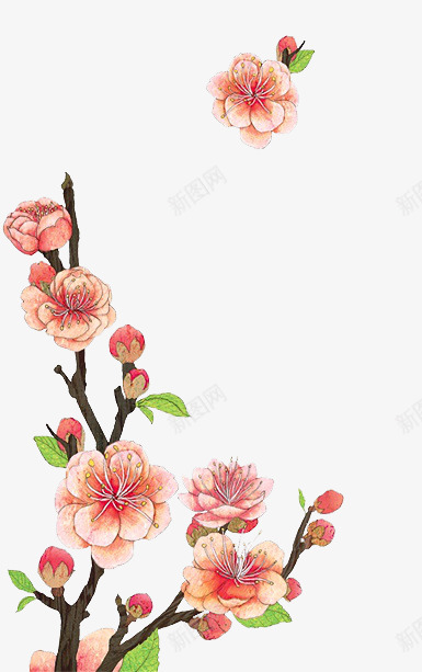 免扣 桃花 手绘 装饰 png透明素材免扣悬浮jpg小素材png免抠素材_88icon https://88icon.com 免扣 素材 桃花 手绘 装饰 透明 悬浮