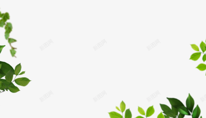 春季 绿色 树叶 小清新 简约 免扣 png透明素材免扣悬浮jpg小素材png免抠素材_88icon https://88icon.com 免扣 素材 春季 绿色 树叶 清新 简约 透明 悬浮