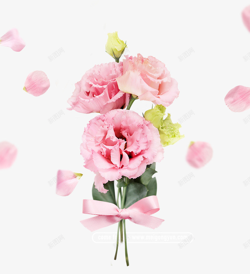 康乃馨鲜花素材png免抠素材_88icon https://88icon.com 康乃馨 鲜花 素材