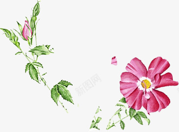 p4 pic1 365270png透明素材免扣悬浮jpg小素材png免抠素材_88icon https://88icon.com 素材 透明 免扣 悬浮