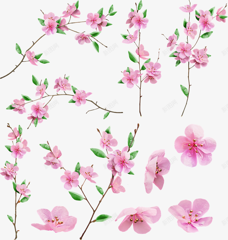 樱花ltbrgt植物png免抠素材_88icon https://88icon.com 樱花 植物