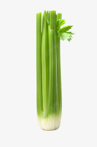 芹菜装饰png免抠素材_88icon https://88icon.com 芹菜 装饰