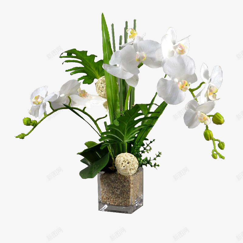 自用白底图png免抠素材_88icon https://88icon.com 自用 白底