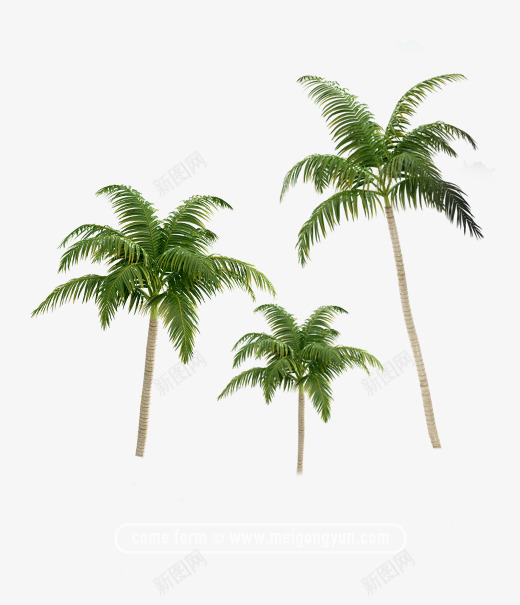 花卉夏季游泳沙滩椰子树花卉植物免扣去底透明水彩奥美Linda花卉免扣要账号看简介png免抠素材_88icon https://88icon.com 花卉 透明 账号 免扣 奥美 水彩 夏季 扣去 植物 椰子树 沙滩