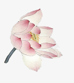 荷花1png免抠素材_88icon https://88icon.com 荷花
