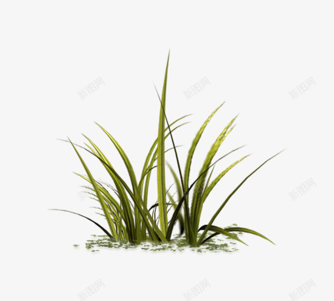 Sourcepng免抠素材_88icon https://88icon.com