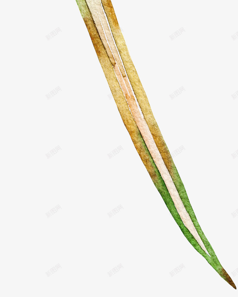 手绘水彩多肉植物仙人掌花卉园艺店装饰LOGO免扣图案合集 20手绘水彩多肉植物仙人掌花卉园艺店装饰LOGO免扣图案合png免抠素材_88icon https://88icon.com 手绘 水彩 多肉 植物 仙人掌 花卉 花卉园 园艺 装饰 免扣 图案