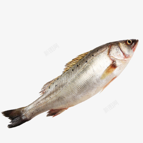a7fe12c9e0e74478removebgpreviewB产品抠图png免抠素材_88icon https://88icon.com 产品 抠图