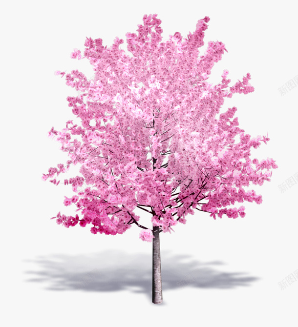 高清精美中国风樱花树手绘素材png免抠素材_88icon https://88icon.com 中国风 手绘 植物 樱花 樱花ps 樱花树 水彩