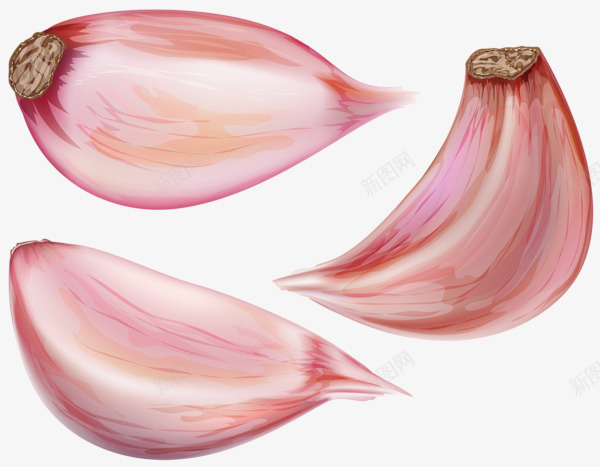 新鲜紫皮大蒜多瓣蒜png免抠素材_88icon https://88icon.com 紫皮多瓣蒜 紫皮蒜 紫皮多瓣蒜头 多瓣蒜 新鲜紫皮多瓣蒜 云南紫皮多瓣蒜 紫皮多重蒜 多重蒜 紫皮多重蒜头 云南紫皮大蒜 新鲜紫皮大蒜