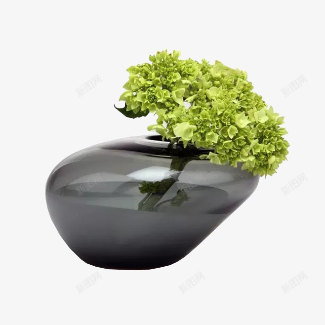 1配饰花艺绿植png免抠素材_88icon https://88icon.com 配饰 花艺 绿植
