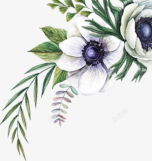 绿植花草手绘清新png免抠素材_88icon https://88icon.com 绿植 花草 手绘 清新