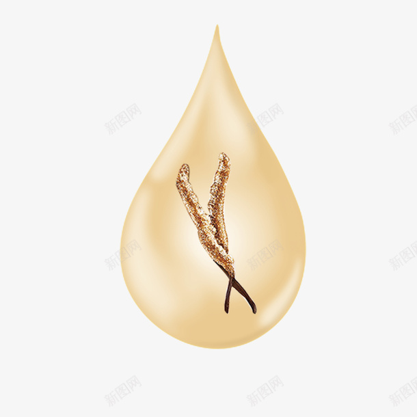 金色水滴虫草精华png免抠素材_88icon https://88icon.com 金色 虫草 冬虫夏草 精华 水滴