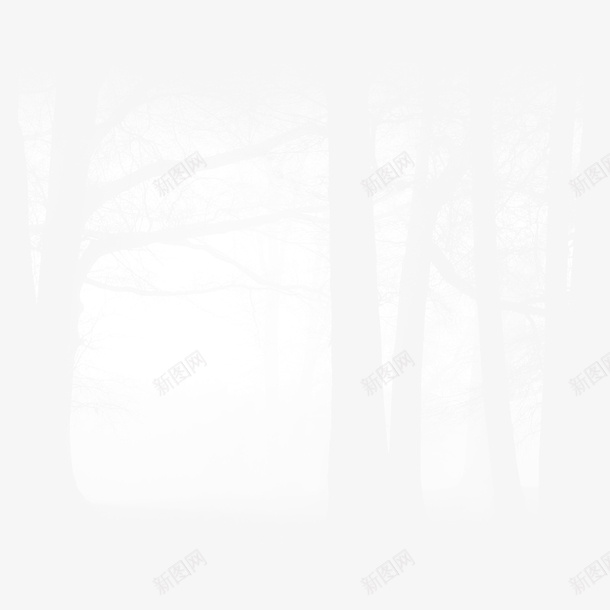 林间透过的阳光png免抠素材_88icon https://88icon.com 林间 光影 光 折射 树木 穿透
