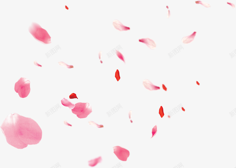 20210319 21 植物 花瓣率令B50077030BP1068732297P偏png免抠素材_88icon https://88icon.com 植物 花瓣率 令偏