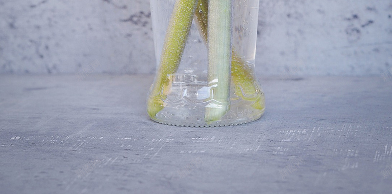 风信子jpg设计背景_88icon https://88icon.com 粉红色的花 粉红色 风信子 蓝色 花 蓝色花 香花 鲜花 春天的花 花瓶 玻璃 德卡 装饰 春天 静 浪漫 H5 h5 梦幻