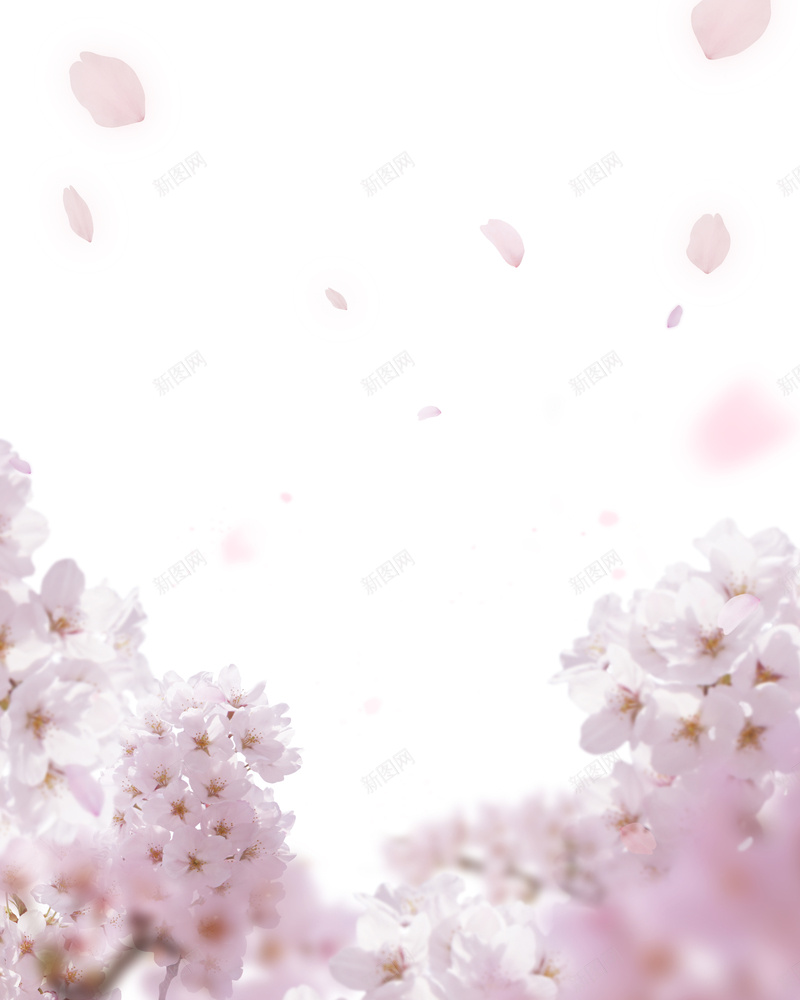 桃花花瓣背景jpg设计背景_88icon https://88icon.com 店铺背景 摄影 桃花 浪漫 粉色 梦幻