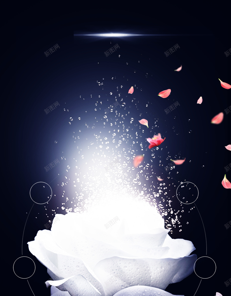 化妆品创意海报广告背景psd设计背景_88icon https://88icon.com 创意海报 化妆品海报 黑色 星光 花瓣 白色 花 简约 渐变