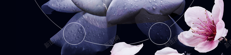 化妆品创意海报广告背景psd设计背景_88icon https://88icon.com 创意海报 化妆品海报 黑色 星光 花瓣 白色 花 简约 渐变