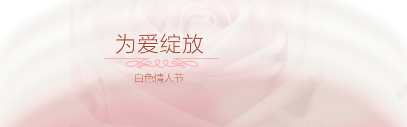 粉色浪漫玫瑰花背景背景图片 粉色浪漫玫瑰花背景背景