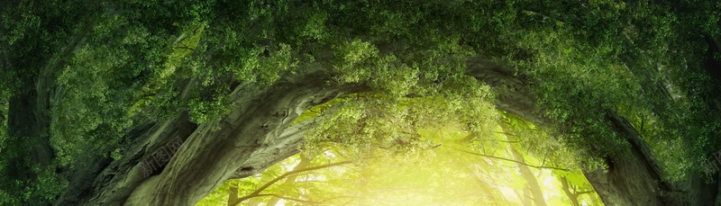 梦幻暖色清新商务淘宝背景抽象山洞jpg设计背景_88icon https://88icon.com 梦幻 暖色 清新 商务 淘宝背景 抽象 山洞 海报banner 科技 科幻